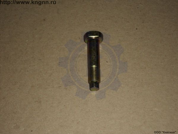 Болт эксцентрика задних тормозных колодок Г-3302
