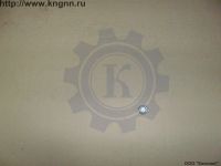 Пробка КПП Г-24