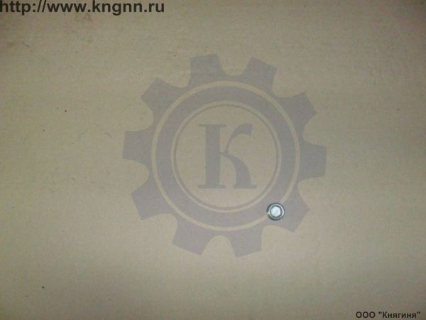 Пробка КПП Г-24 магнитная