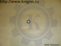 Манжета РЦС Ф25 Г-31029