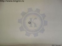 Стекло двери Волга Г-2401 передней правой