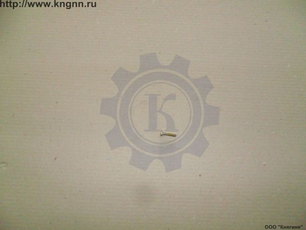Болт М 6х25 задней крышки ГБЦ ЗМЗ-406