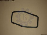 Уплотнитель заднего фонаря Г-24