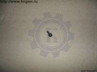 Форсунка омывателя стекла Г-31029