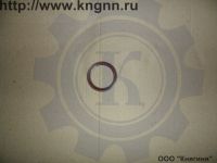 Сальник к/вала ЗМЗ-406, Г-560 передний (55х70х8)
