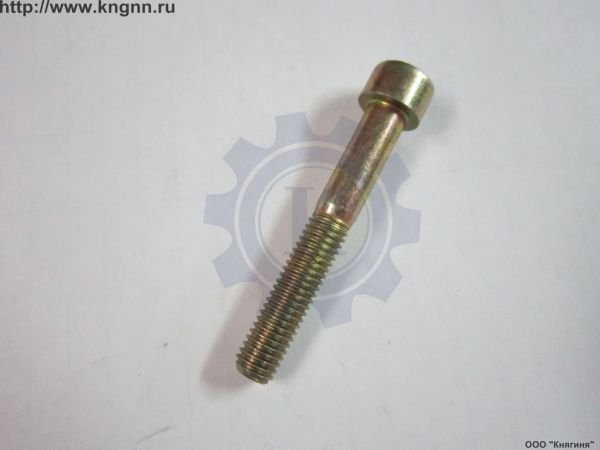 Болт М 8х1,25х55Т помпы , крышки цепи ЗМЗ-406
