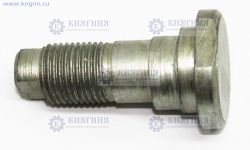 Болт эксцентрика задних тормозных колодок ГАЗ-3307,3309,ПАЗ