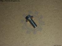 Болт М 8х1,25х20 крепления пальца суппорта Г-3302