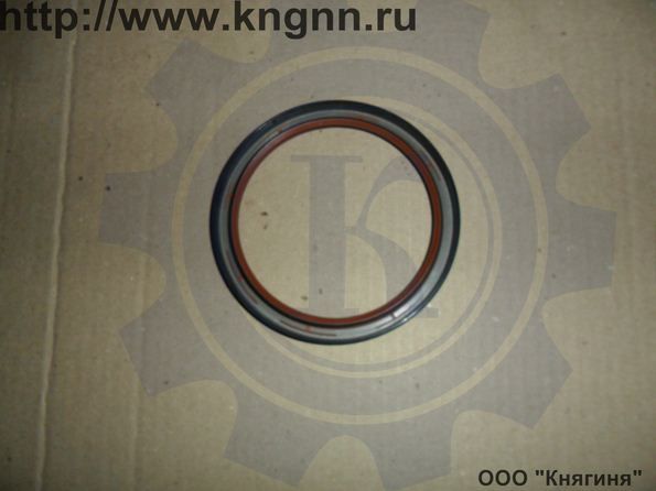 Сальник к/вала Г-560 задний
