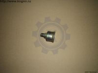 Масленка заднего моста