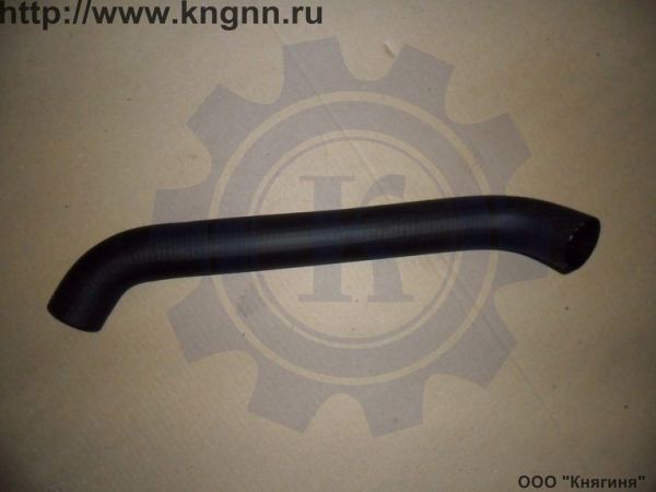 Патрубок радиатора Г-3302 (Г-560) нижний