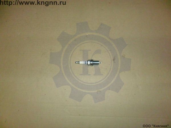 Пыльник крестовины КПП В-08