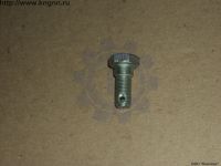 Болт М10х1х25 многоцелевой