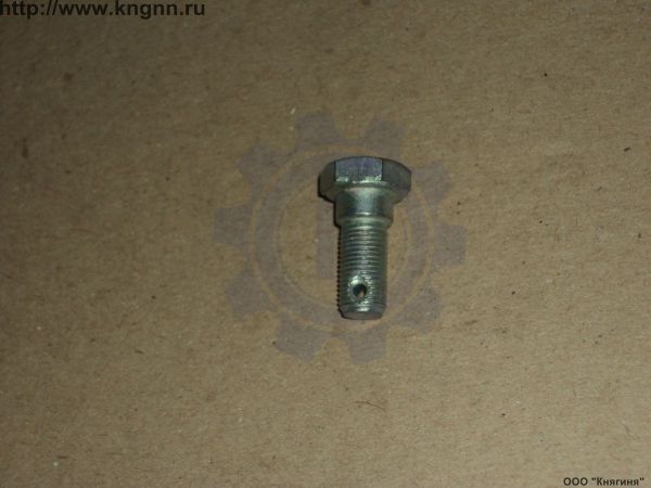 Болт М10х1х25 многоцелевой