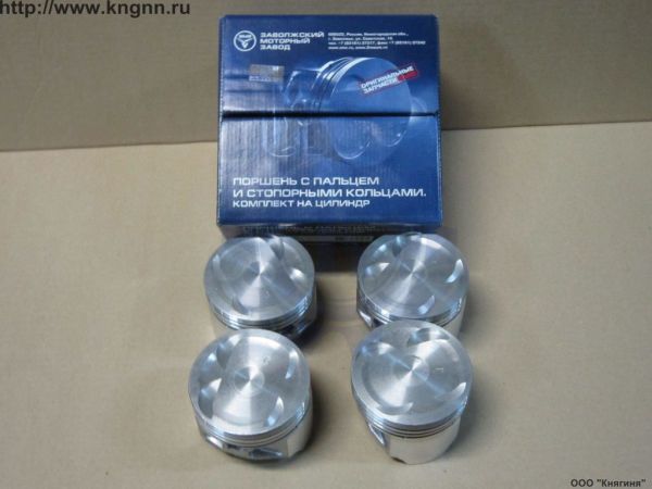 Поршни 405 95,5 гр.Б