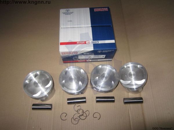Поршни 405 95,5 гр.В
