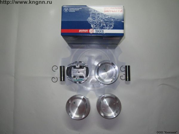 Поршни 409 95,5 гр.Д