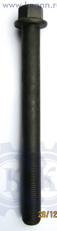 Болт Cummins ISF 2.8 головки блока