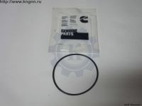 Кольцо уплотнительное ТНВД Cummins 2,8