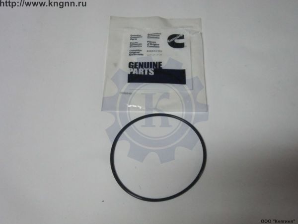 Кольцо уплотнительное ТНВД Cummins 2,8