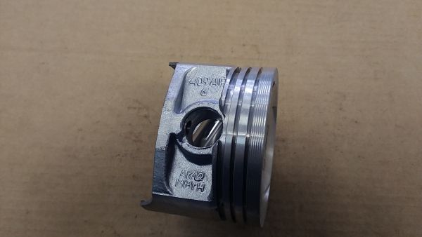Поршни 409 95,5 гр.Д