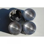 Поршни 421 101,0 гр.Б